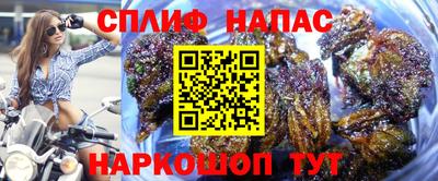 гидра Дубна