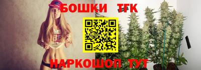 гидра Дубна