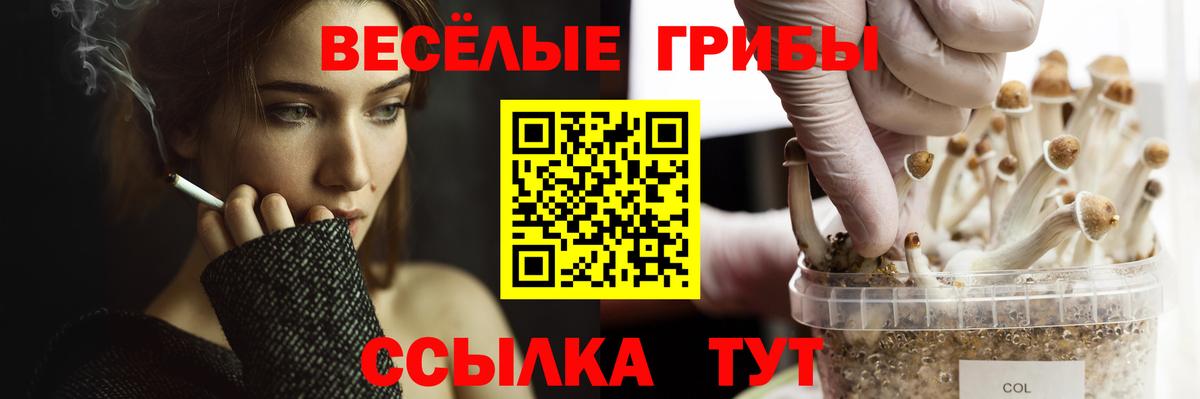 Зеленогорск  закладки  Вход с VPN  Псилоцибиновые грибы MAGIC MUSHROOMS 